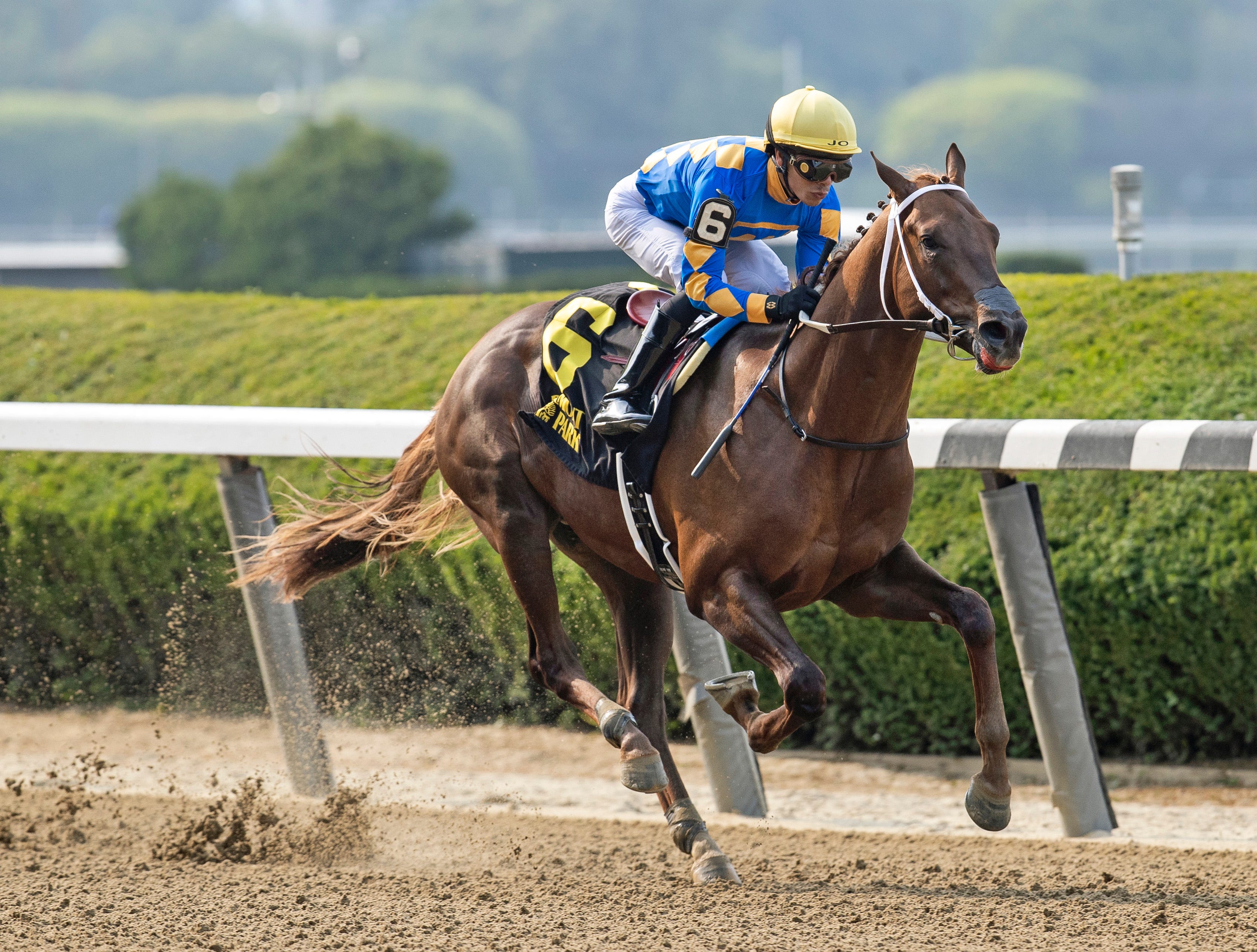 Gold Sweep dominates Tremont Stakes